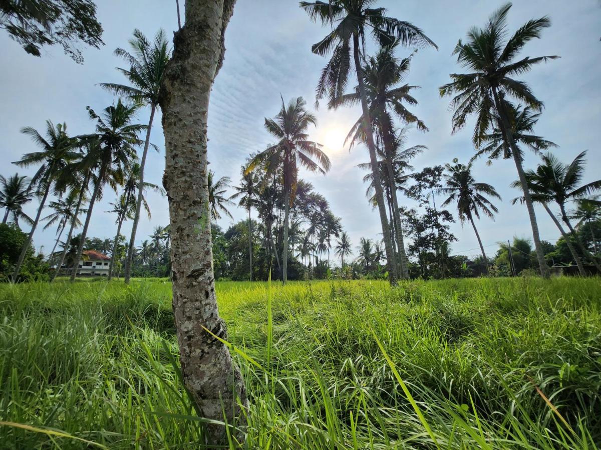 Casa Idea Ubud Exteriör bild